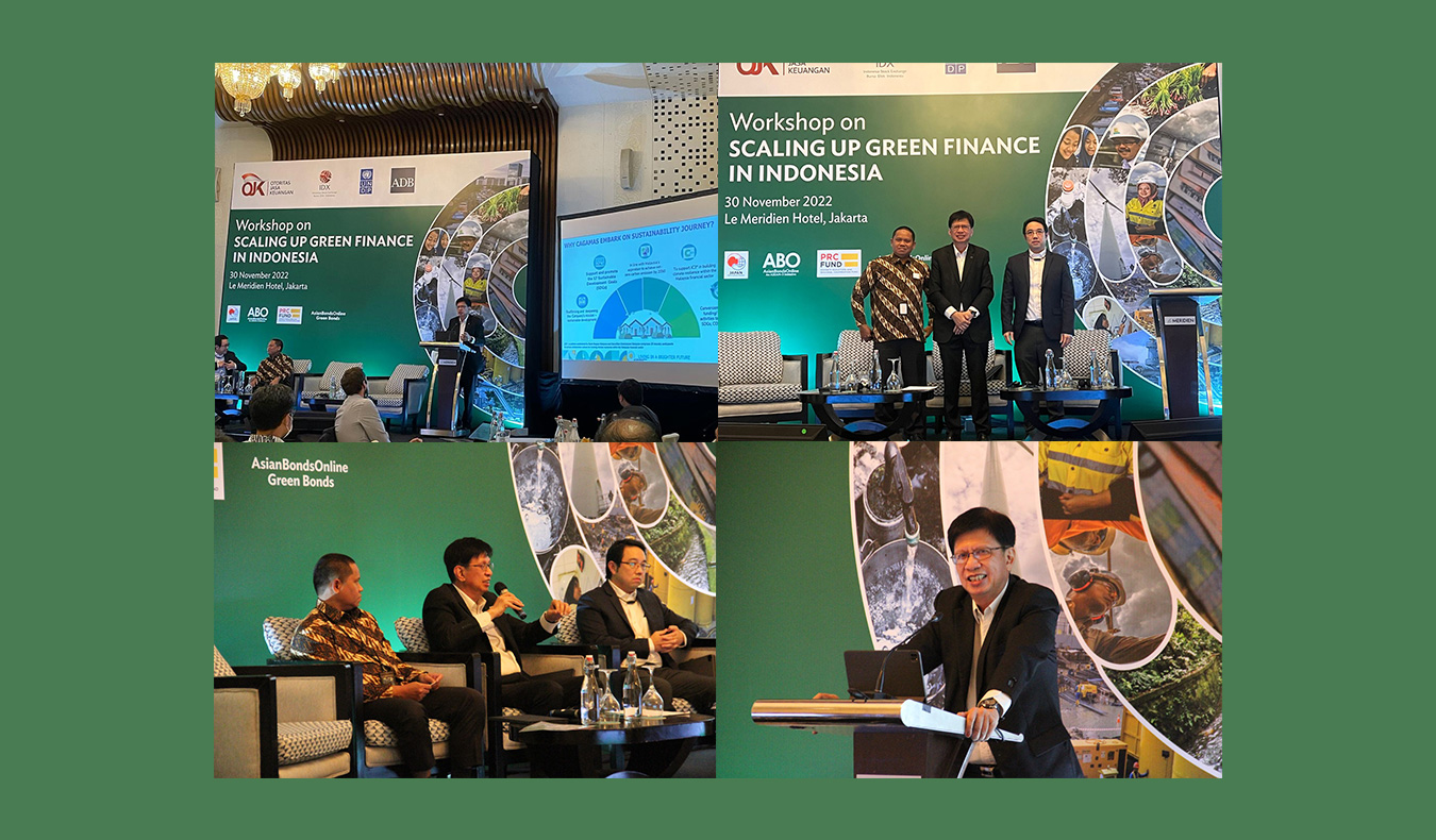 Workshop on Scaling up Green Finance in Indonesia 
