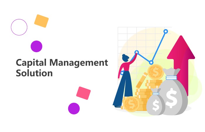 Capital Management Solution (CMS)