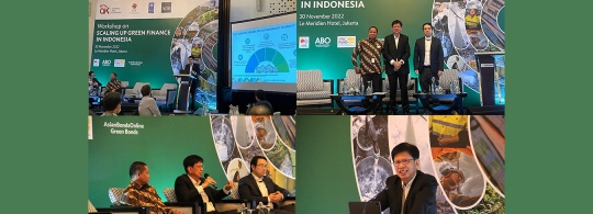 Workshop on Scaling up Green Finance in Indonesia 