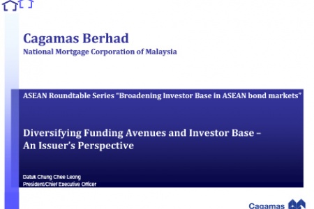 Diversifying Funding Avenues and Investor Base